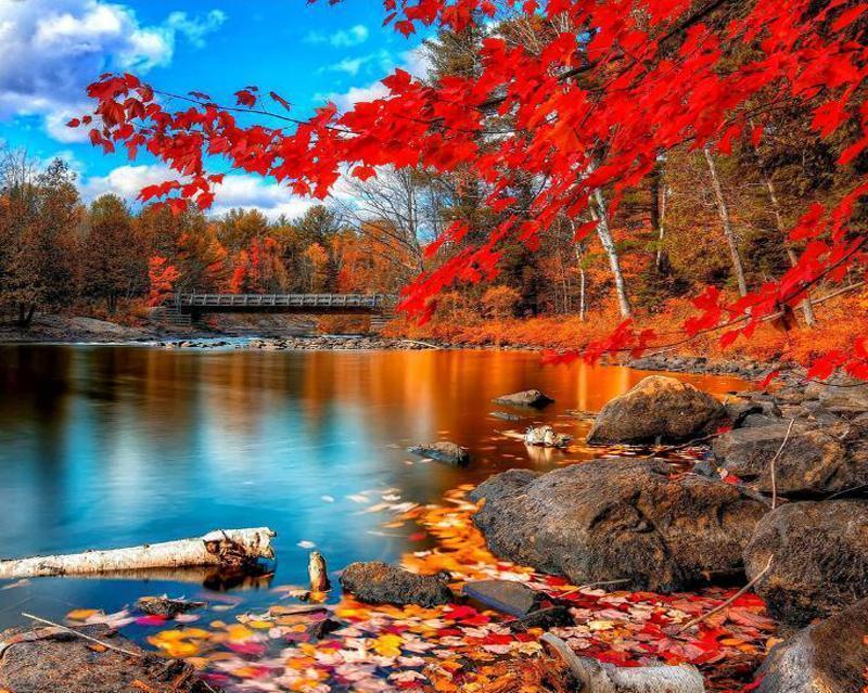 Beautiful Lake LANDSCAPE Kit